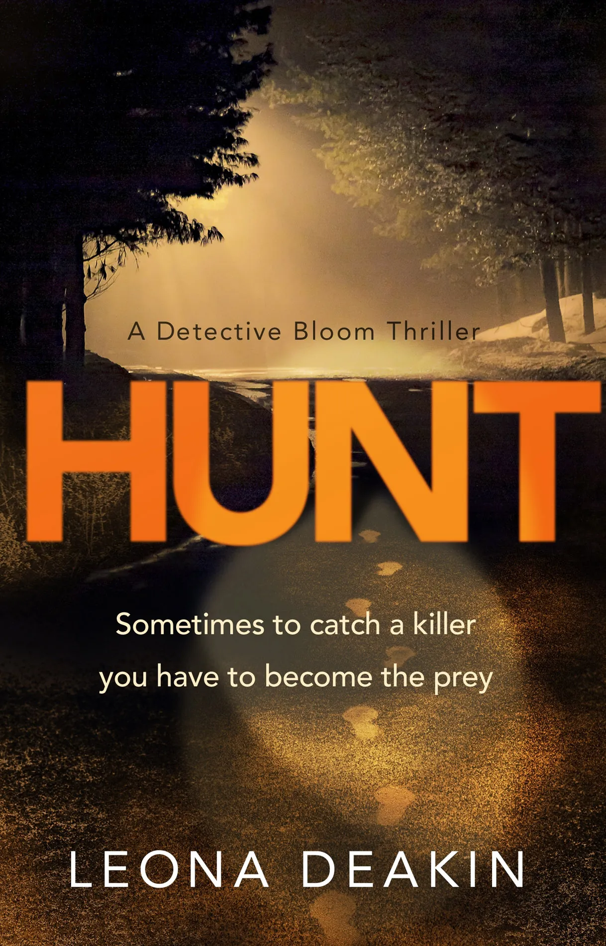 Hunt (Dr Bloom #3)
