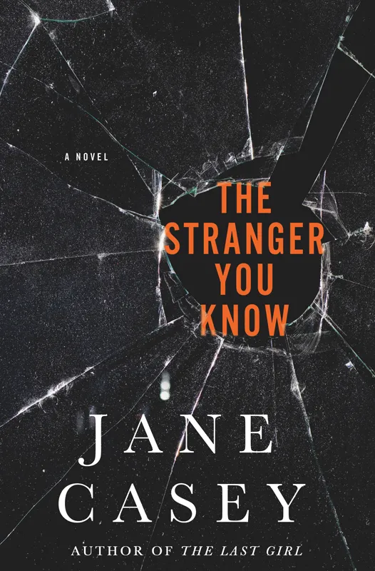 The Stranger You Know (Maeve Kerrigan #4)