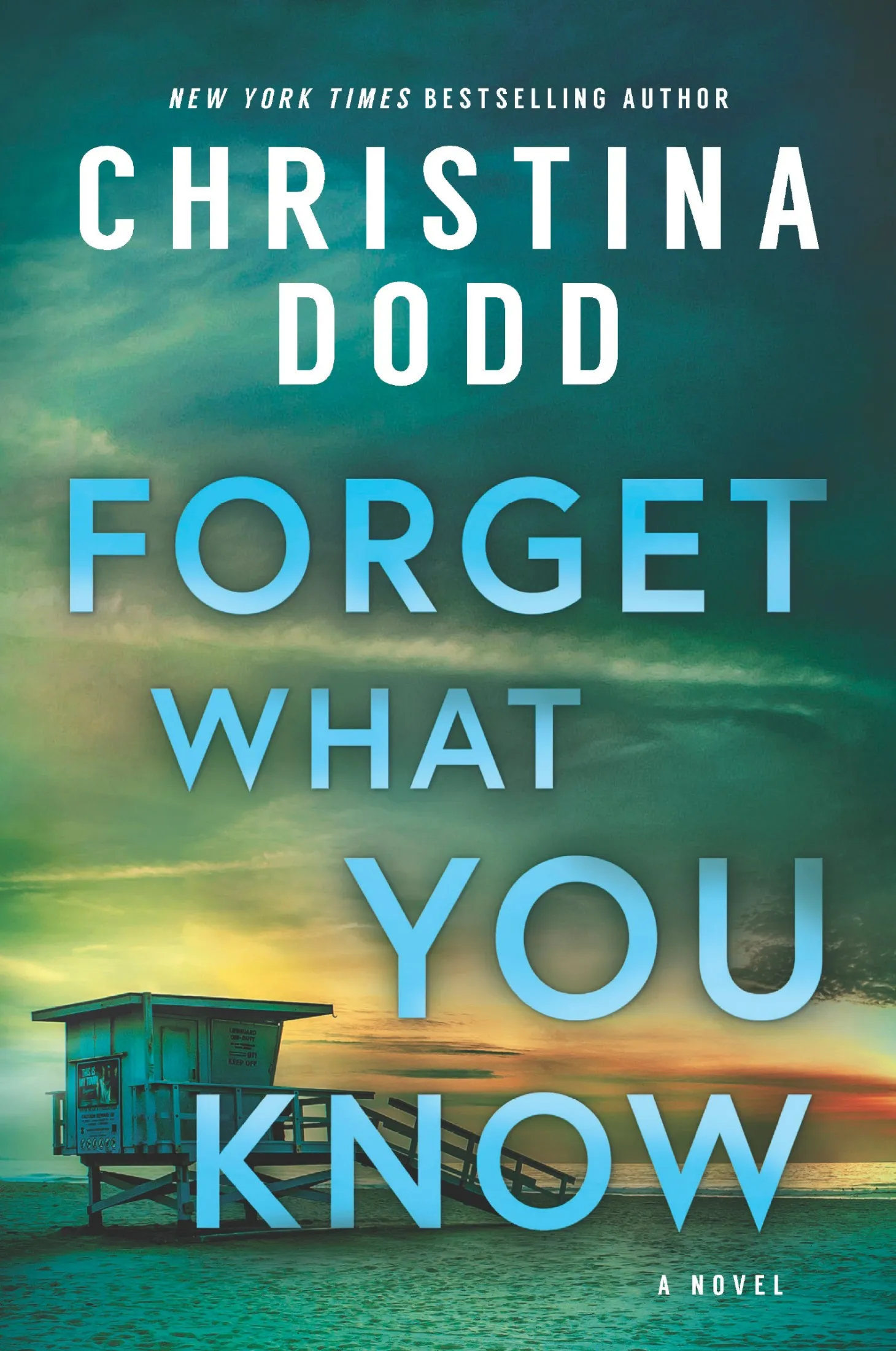 Forget What You Know (Last Seen in Gothic #2)