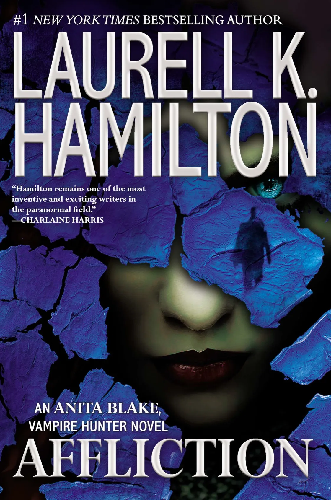 Affliction (Anita Blake Vampire Hunter #22)