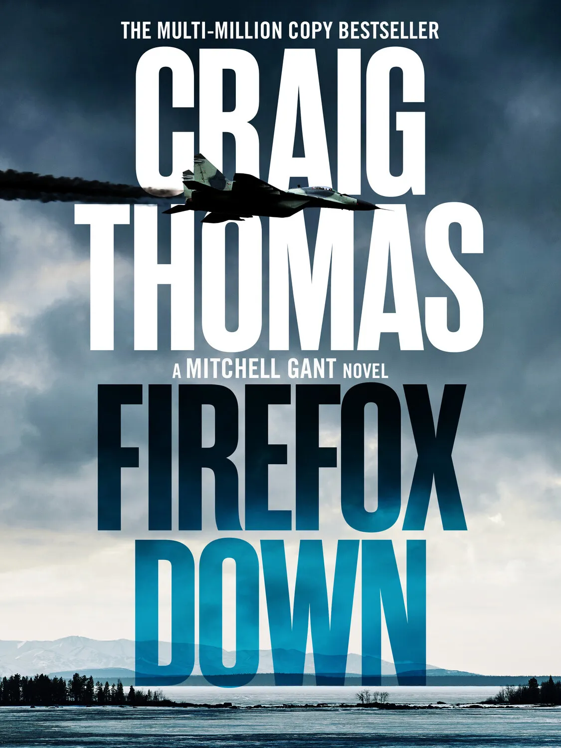 Firefox Down (The Mitchell Gant Thrillers №2)