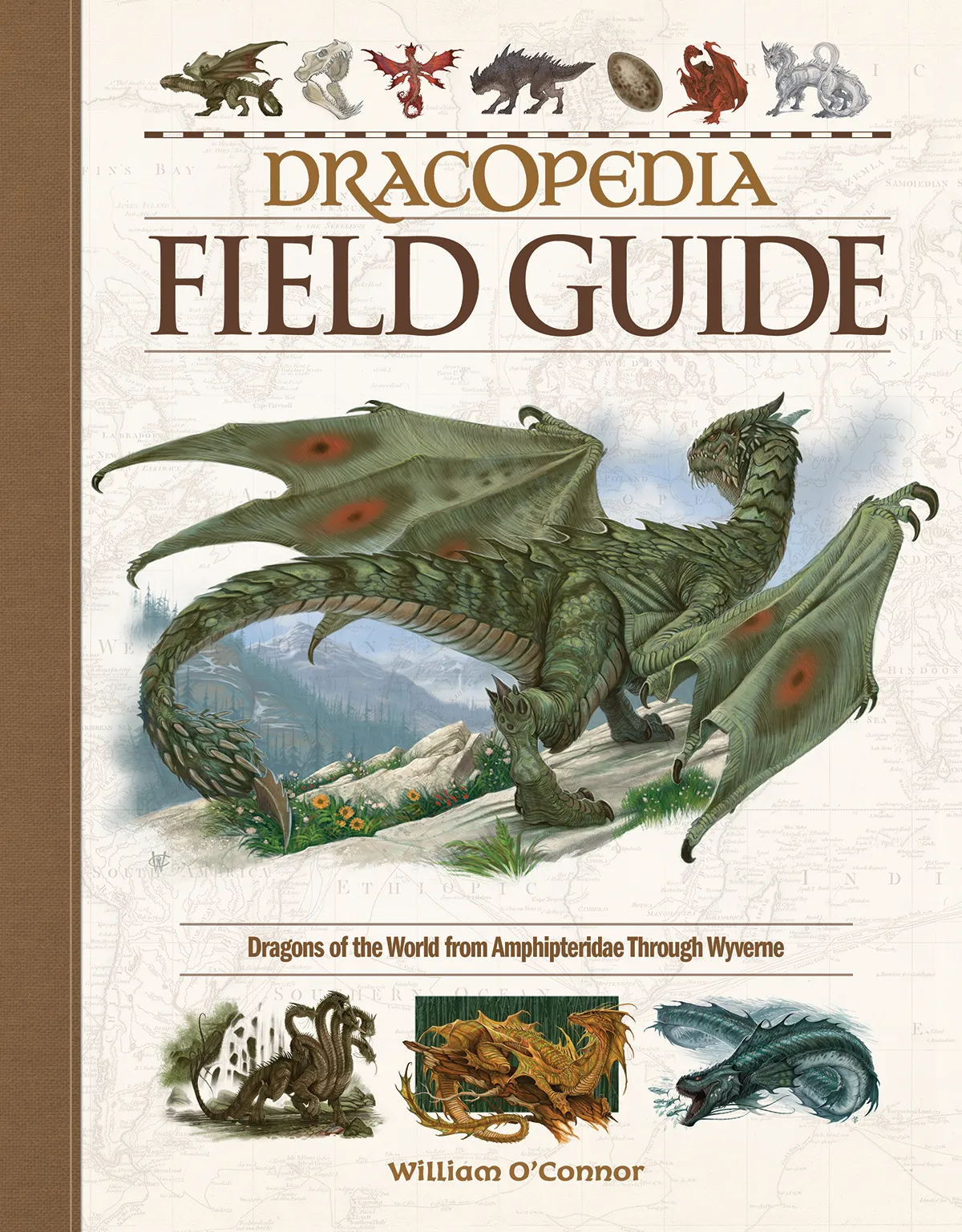 Dracopedia Field Guide: Dragons of the World from Amphipteridae through Wyvernae