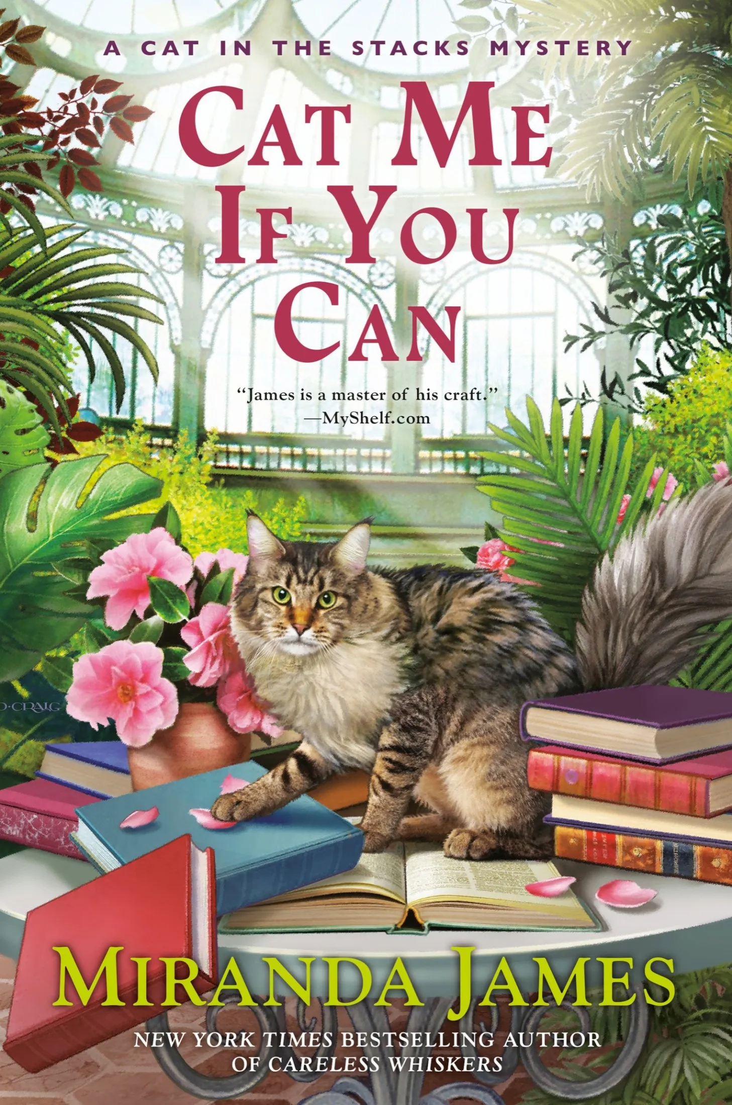Cat Me If You Can (Cat in the Stacks Mystery #13)