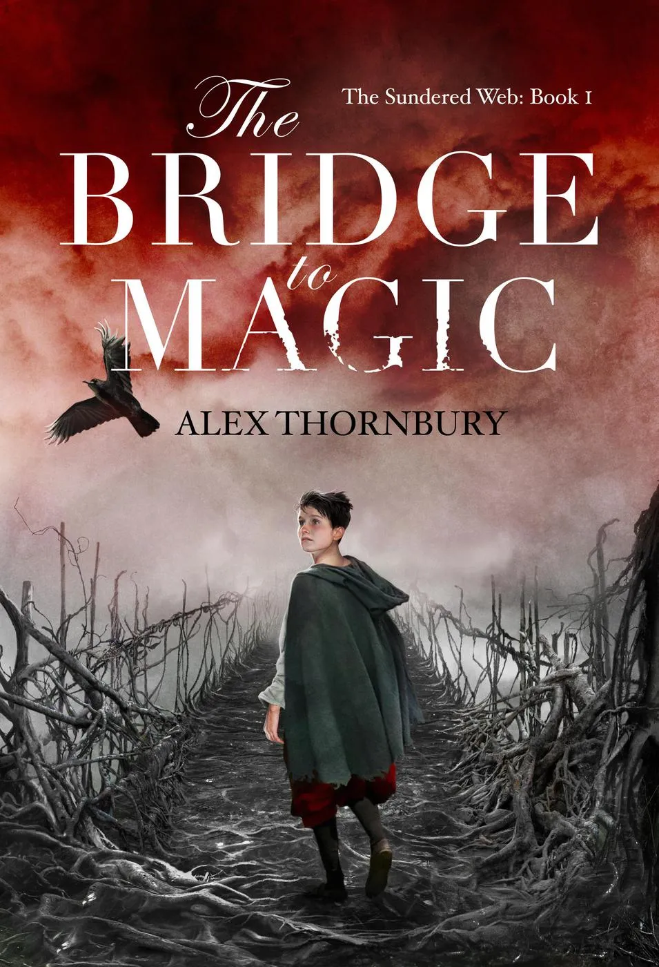 The Bridge to Magic (The Sundered Web #1)