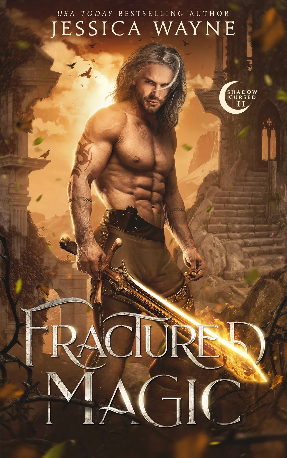 Fractured Magic (Shadow Cursed #2)