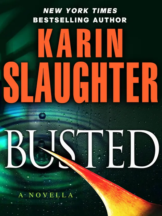 Busted (Will Trent #6.5)