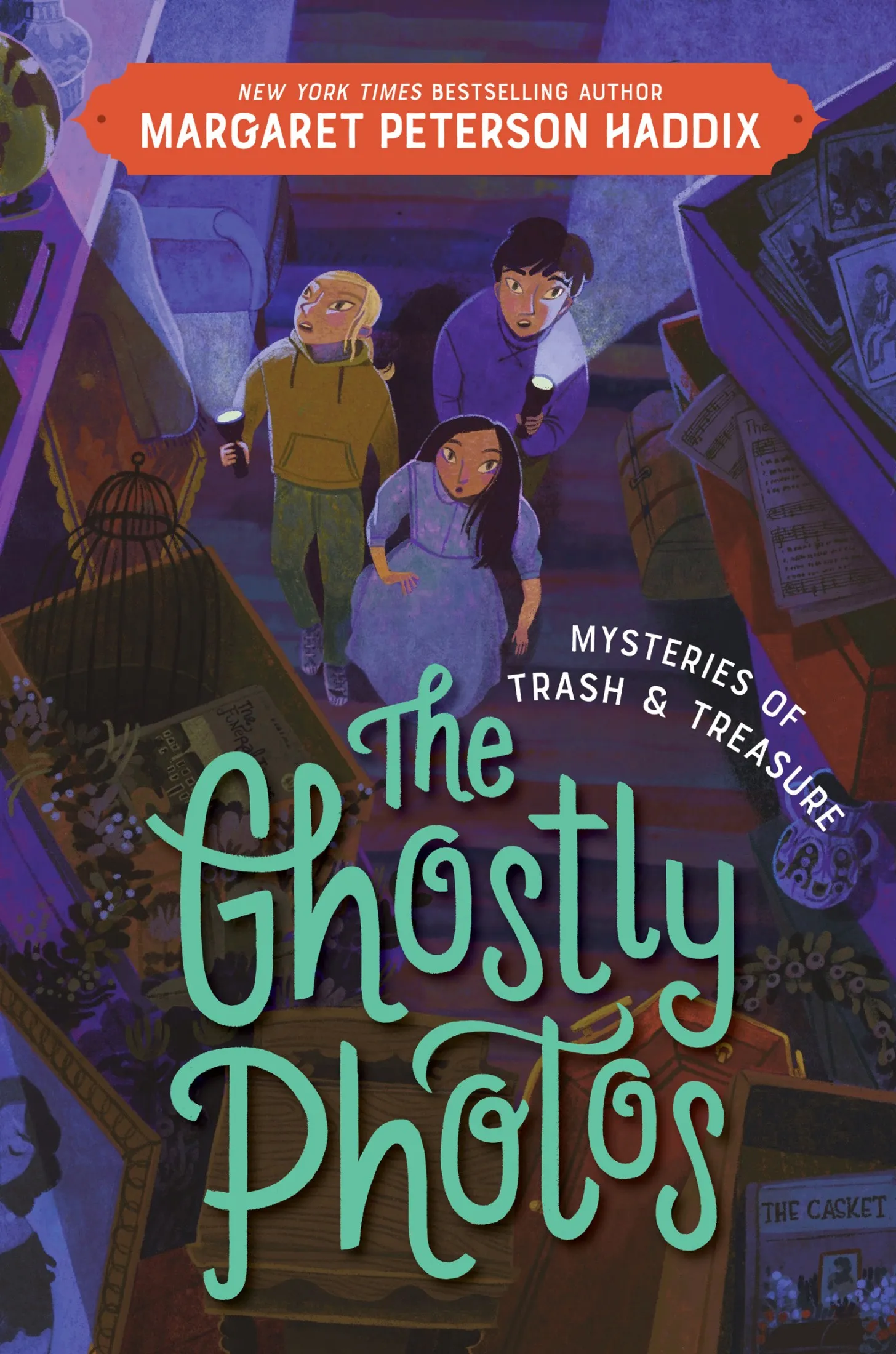 The Ghostly Photos (Mysteries of Trash and Treasure #2)