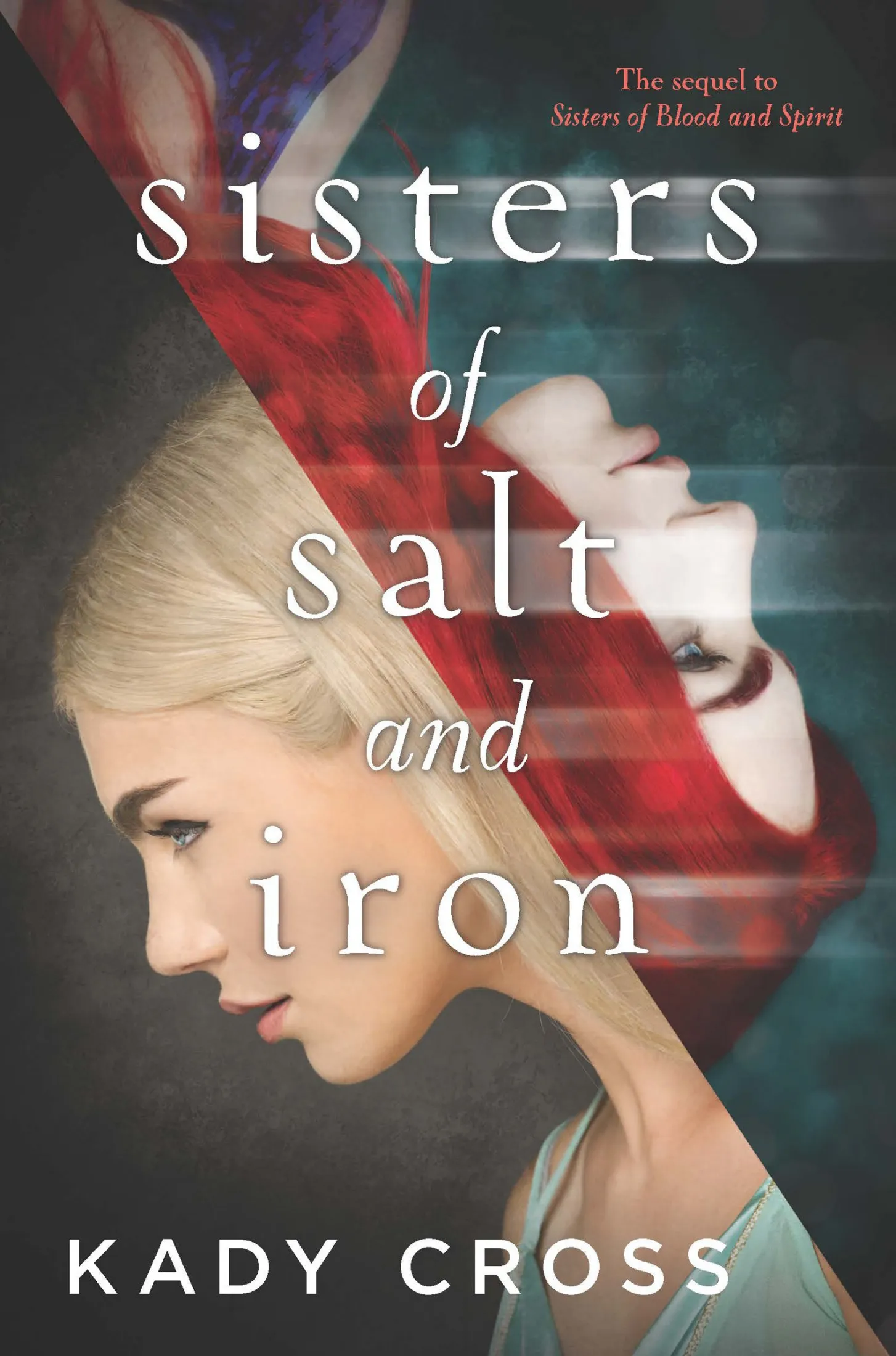 Sisters Of Salt And Iron (Sisters of Blood and Spirit #2)