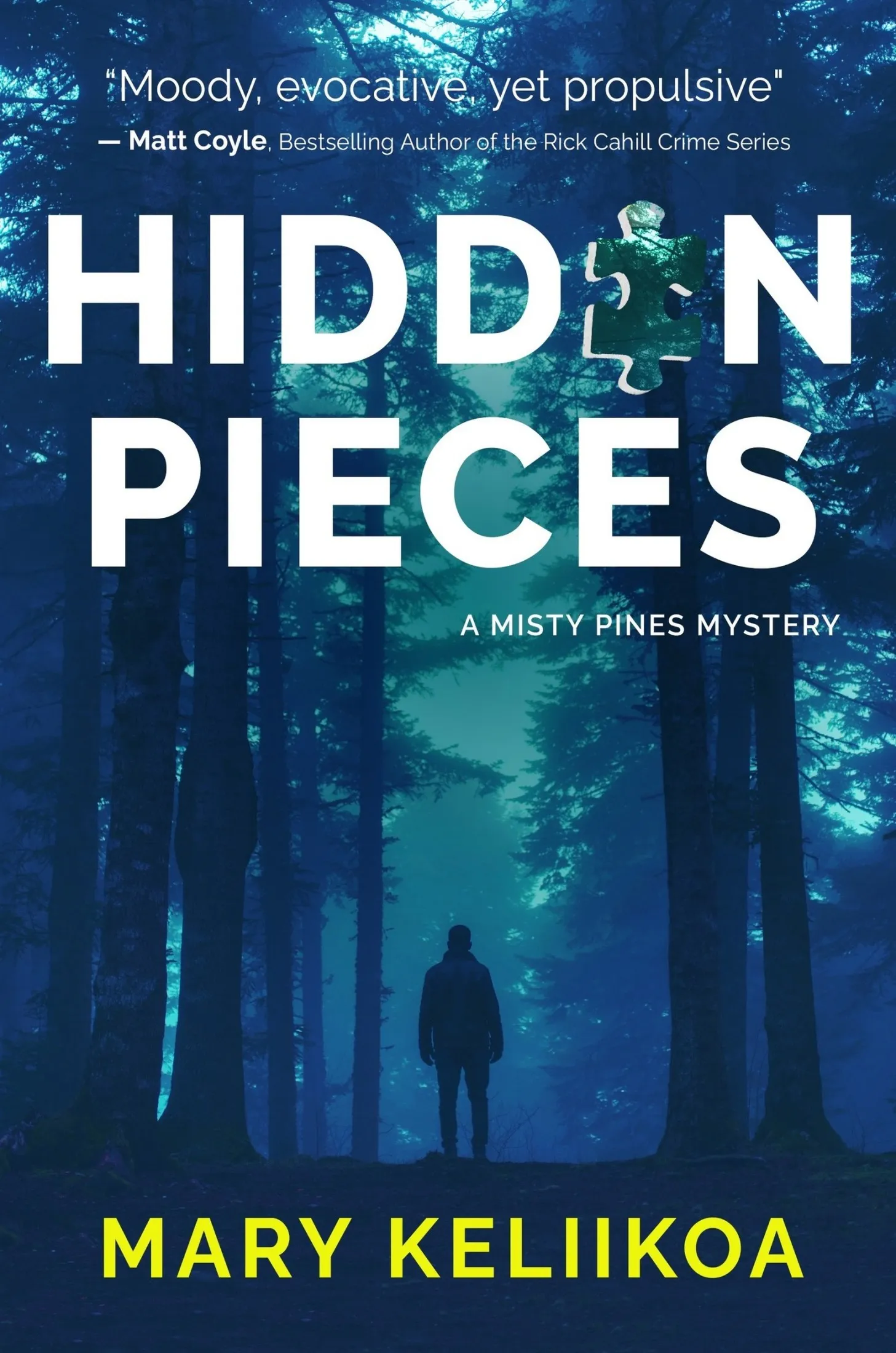 Hidden Pieces (A Misty Pines Mystery #1)