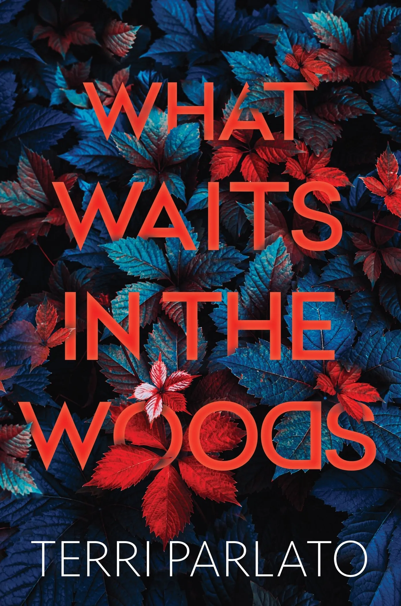 What Waits in the Woods (Detective Rita Myers #2)