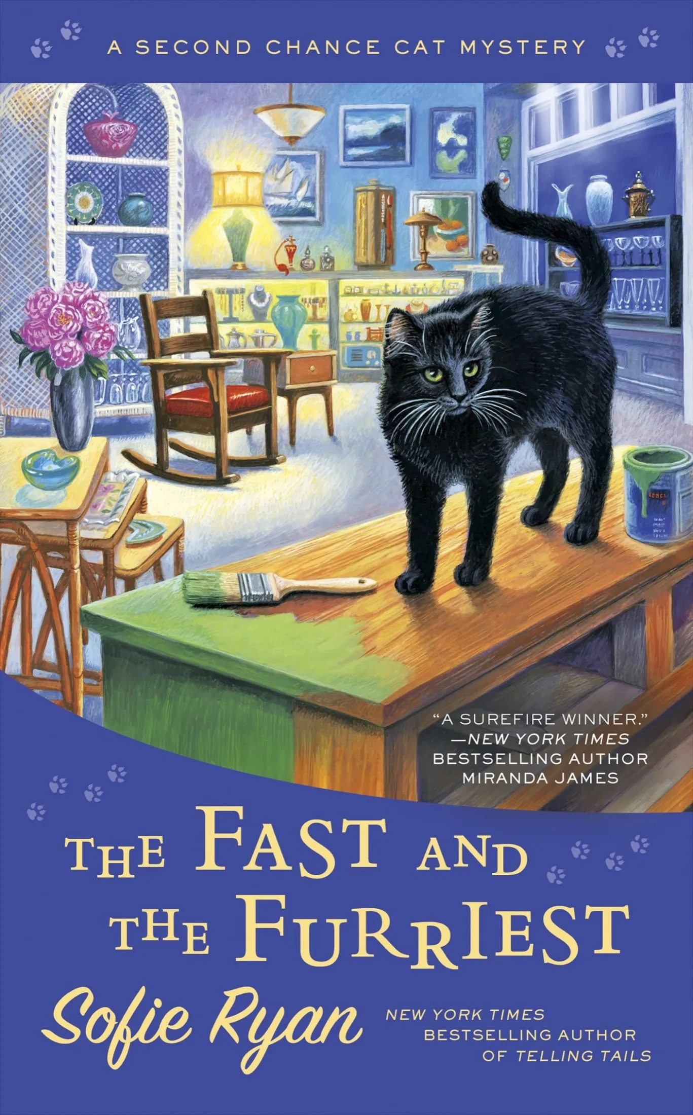The Fast and the Furriest (Second Chance Cat Mystery #5)