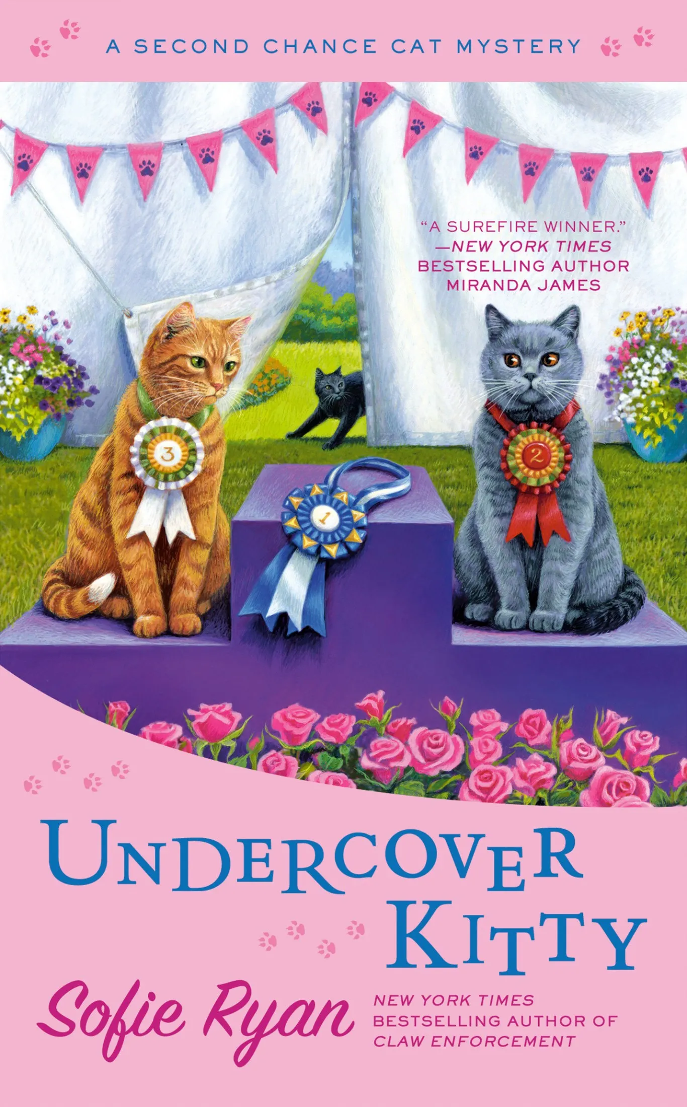 Undercover Kitty (Second Chance Cat Mystery #8)