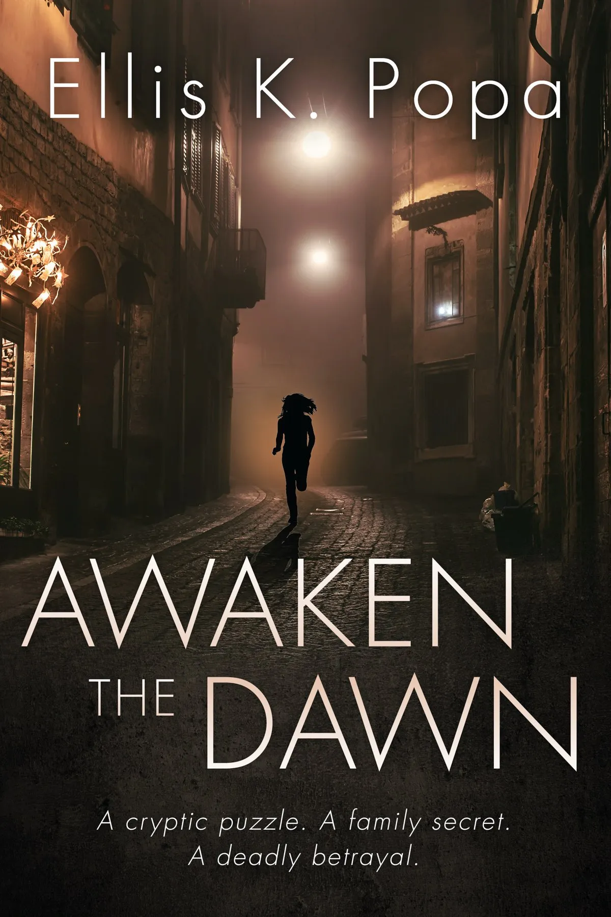 Awaken the Dawn (The Awaken Saga)