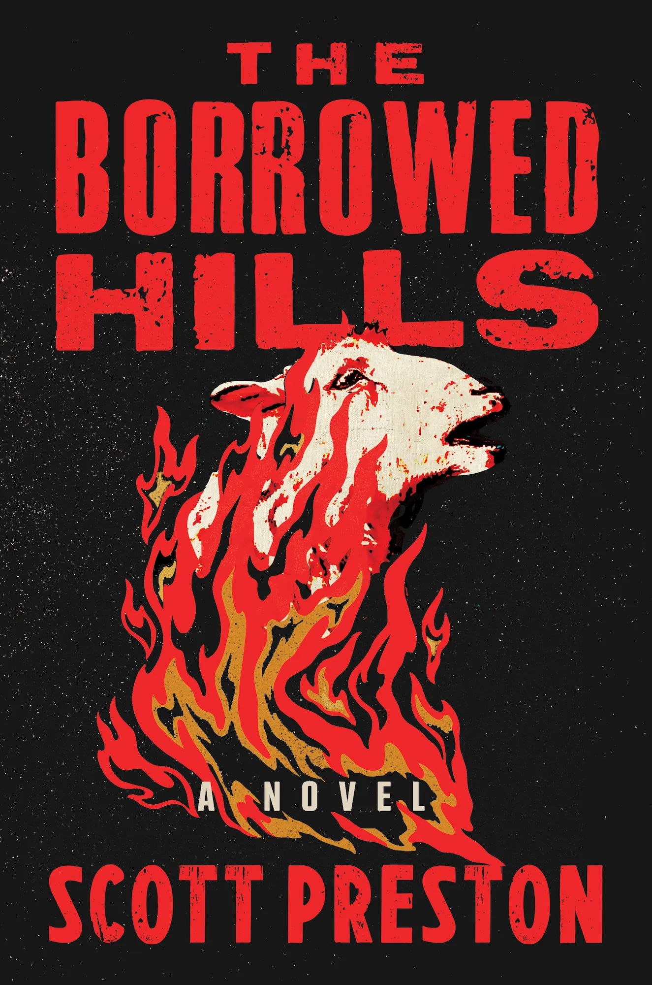 The Borrowed Hills