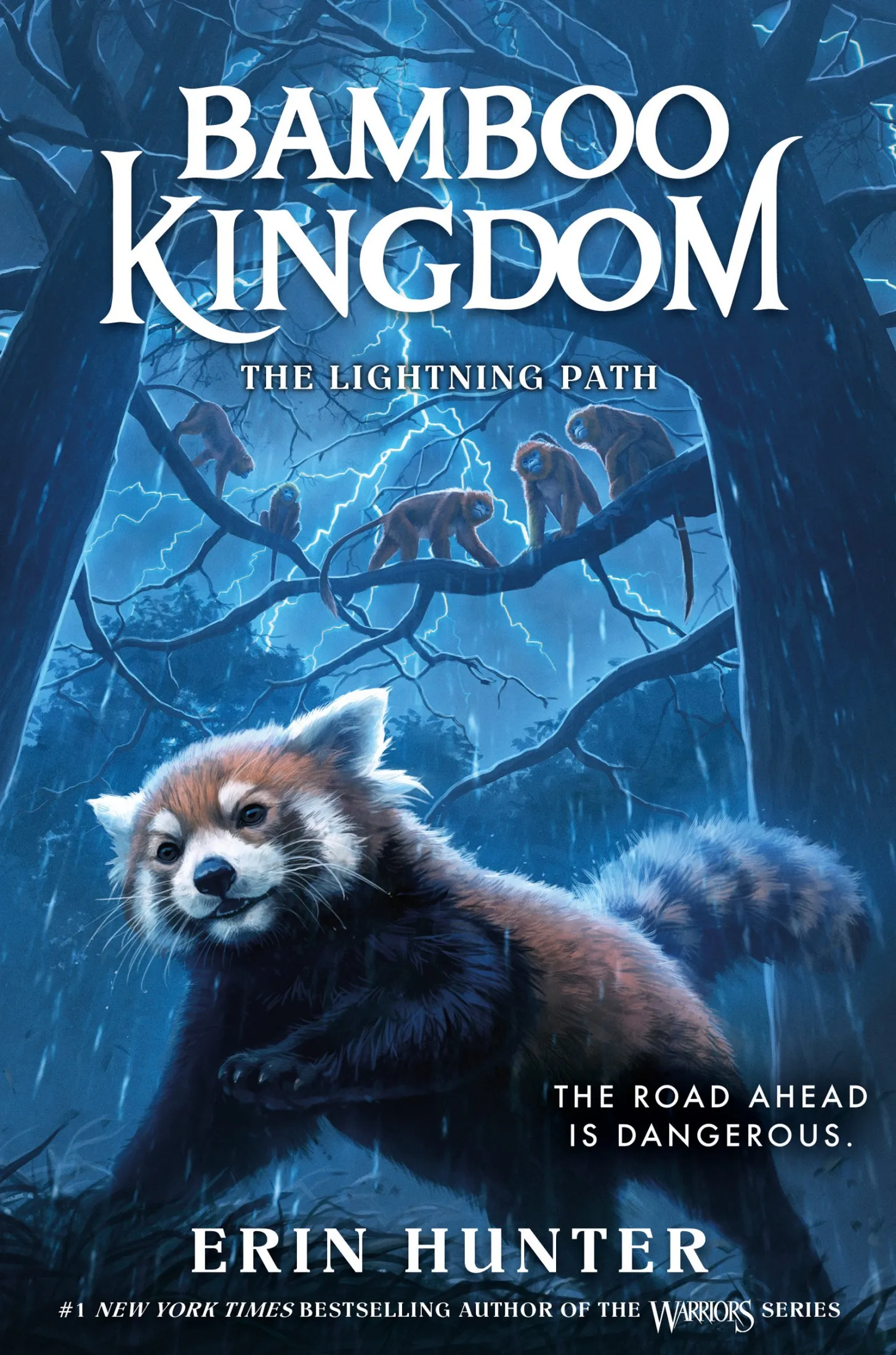 The Lightning Path (Bamboo Kingdom #5)