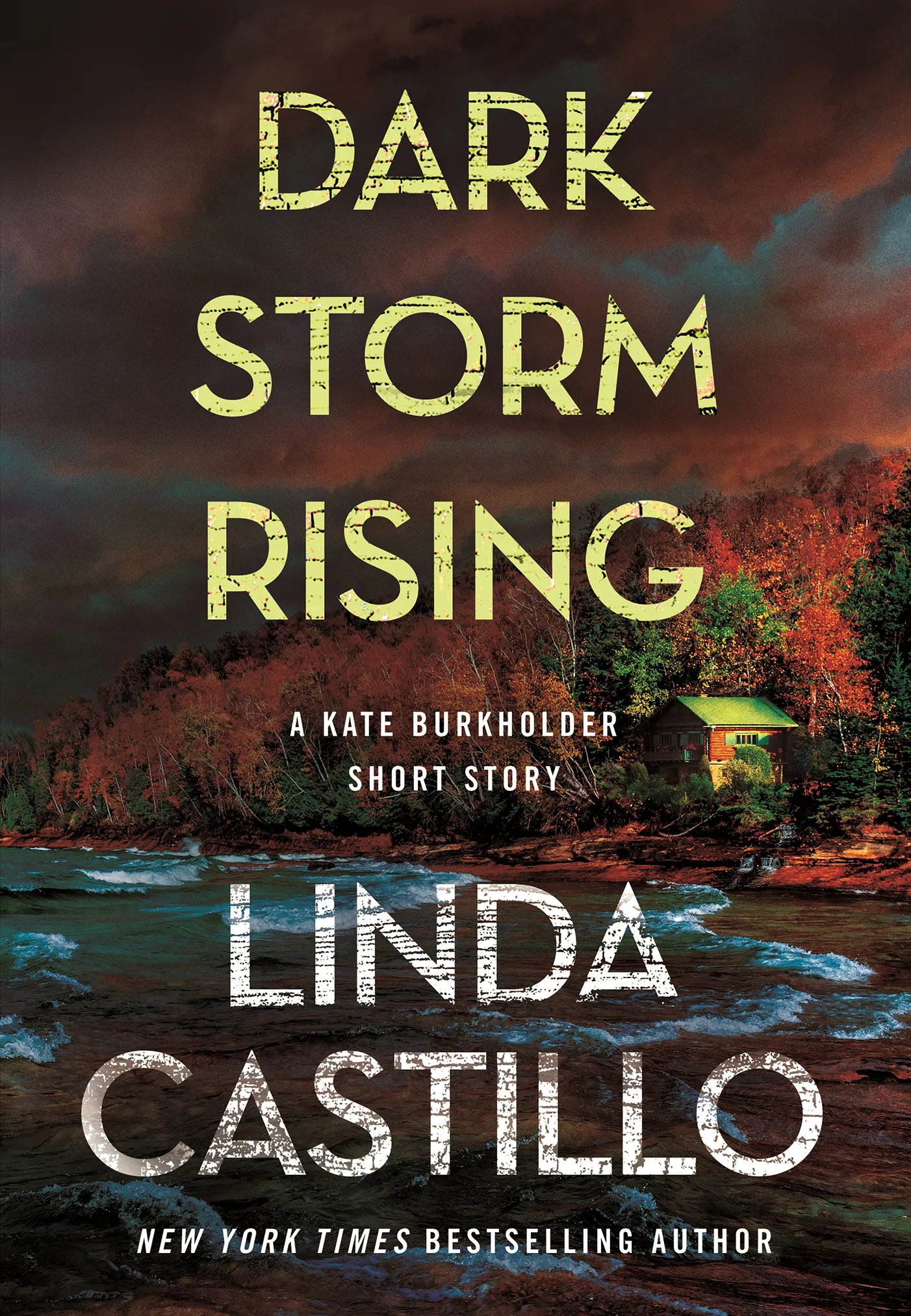 Dark Storm Rising (Kate Burkholder #15.5)