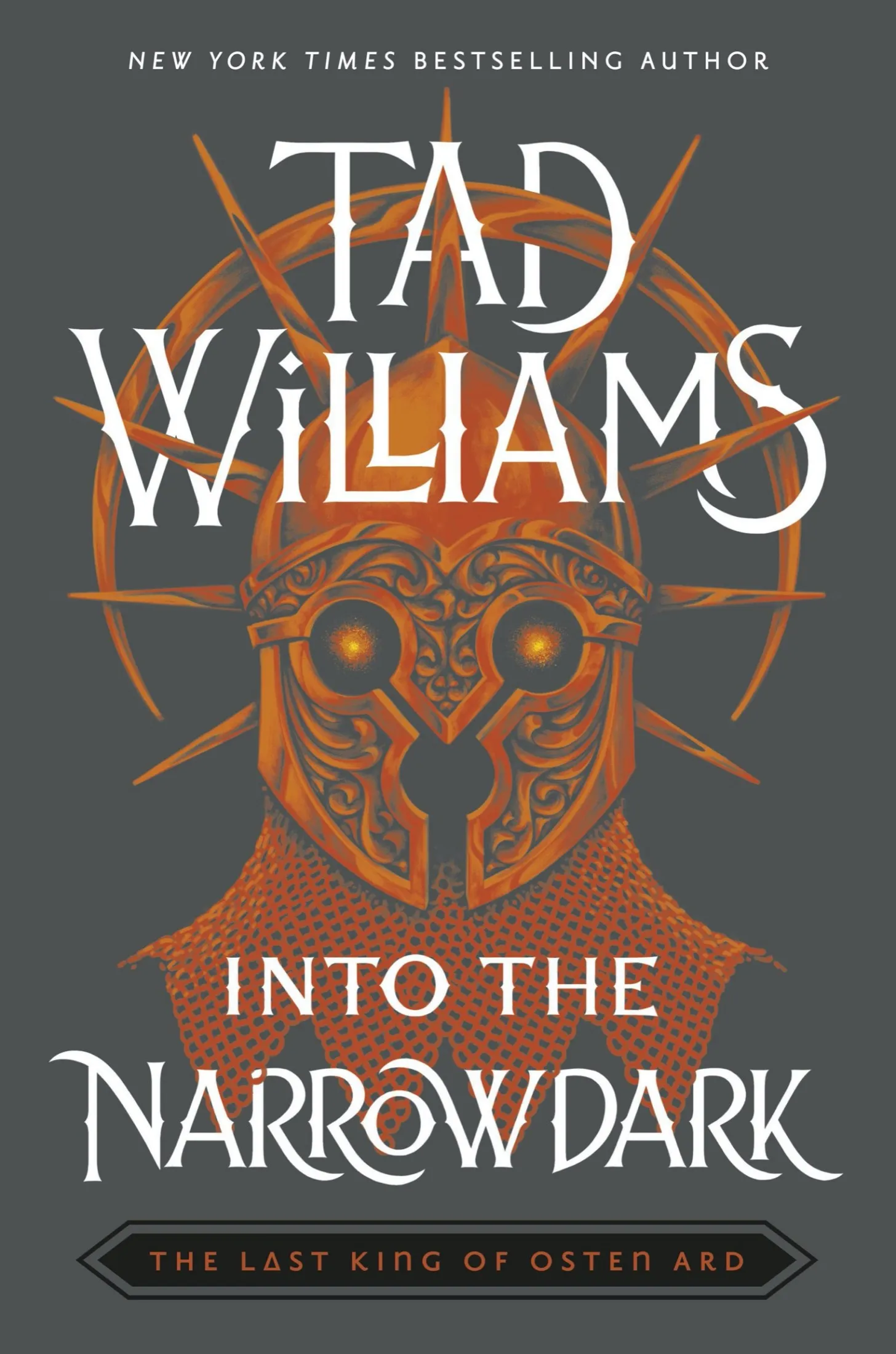 Into the Narrowdark (Last King of Osten Ard #3)